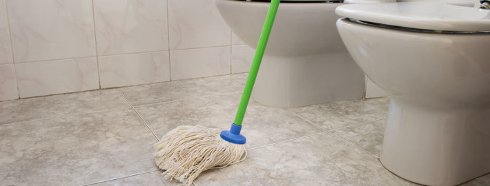 Bathroom Cleaning Mop